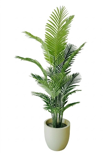 ARECA X18 W/O POT