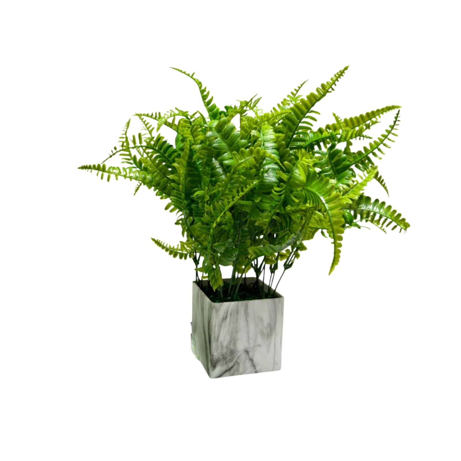 NEW FERN SHRUB X7