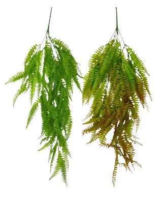 PLASTIC COLOURED FERN HANGING