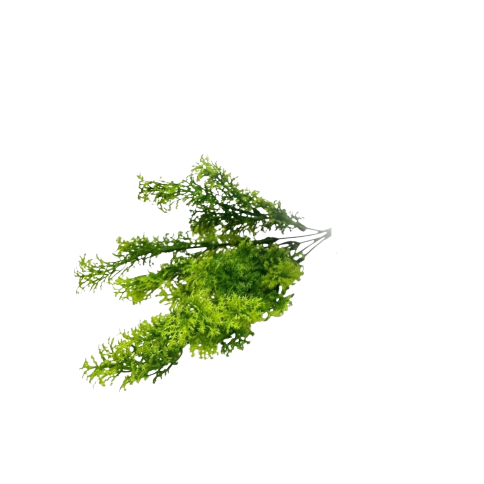 PLASTIC MOSS SHRUB X5