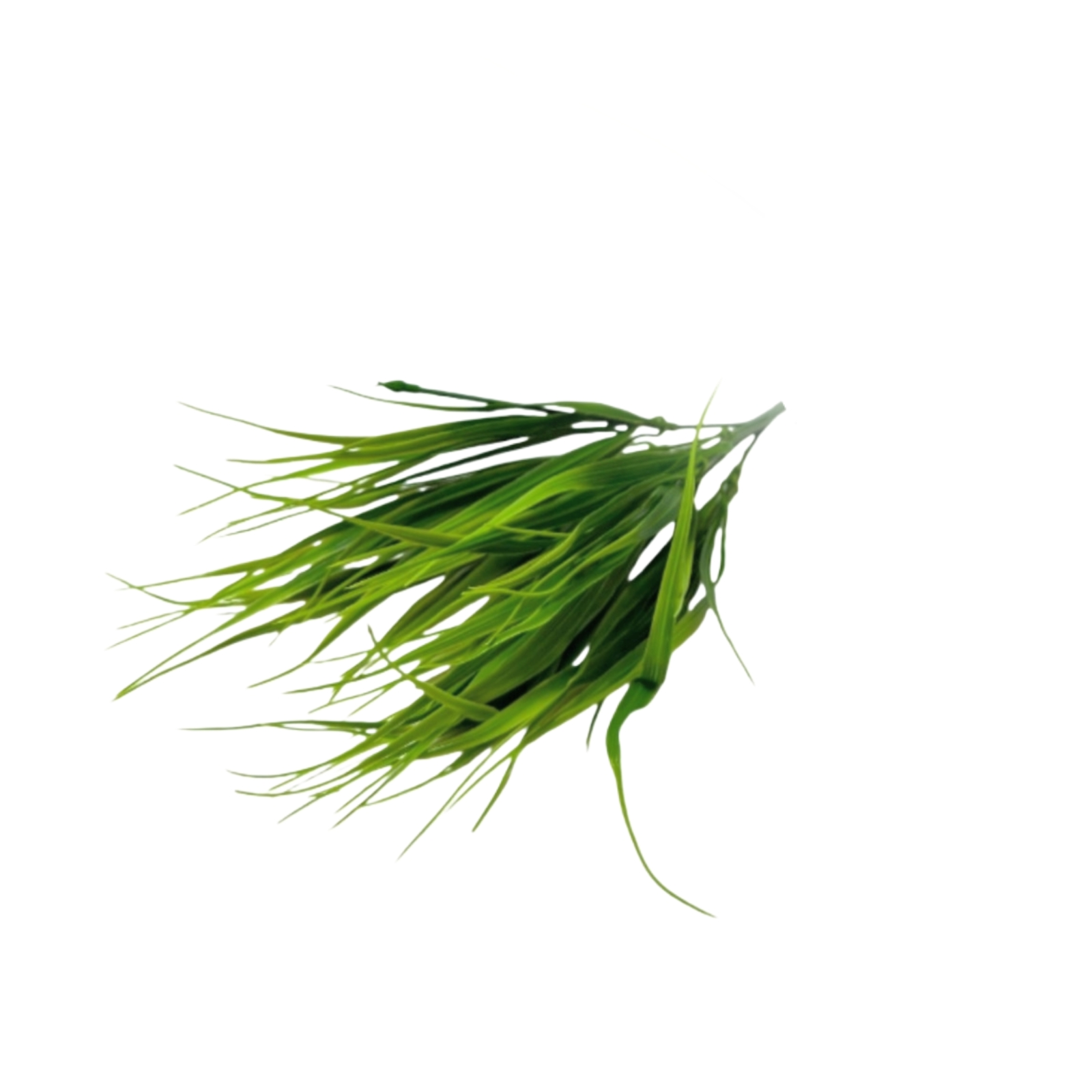PLASTIC YUCA SHRUB X7