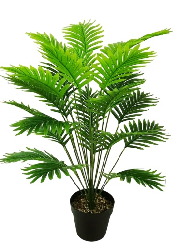 REAL TOUCH ARECA X18 W/O POT